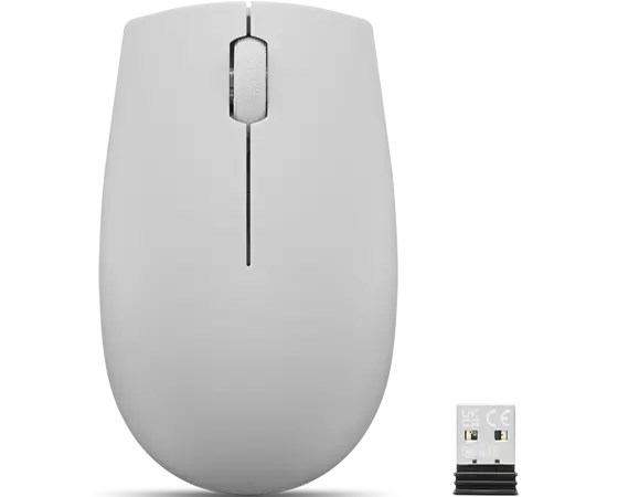 Lenovo 300 Wireless Compact Mouse (Arctic Grey)