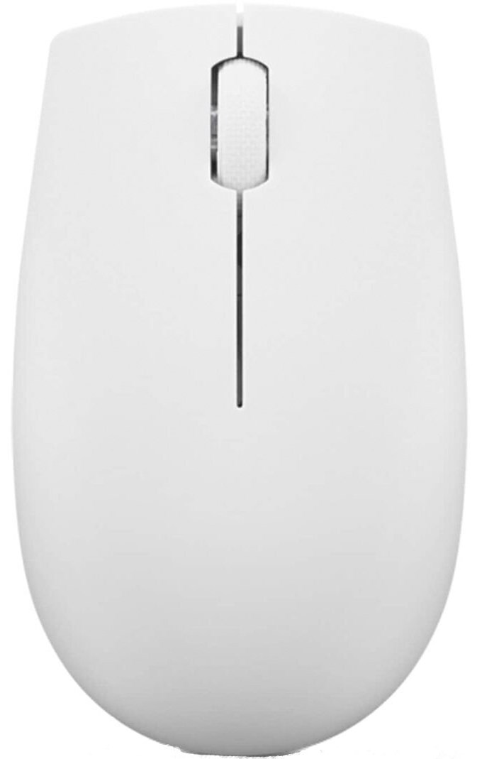 Lenovo 300 Wireless Compact Mouse (Cloud Grey)