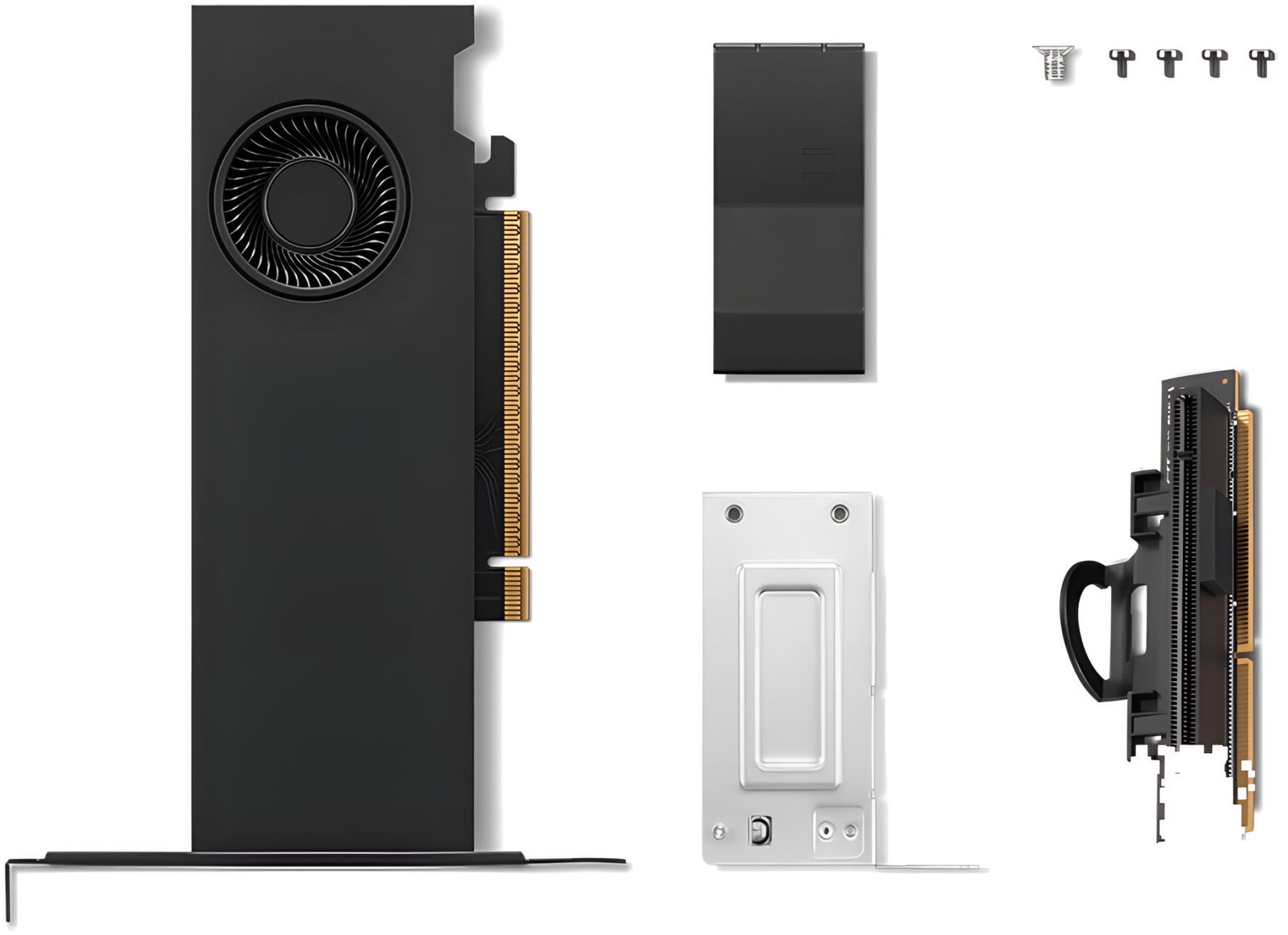 NVIDIA RTX PRO 2000 Blackwell 16GB GDDR7 mini DP*4